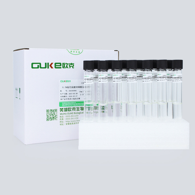 含0.1％硫代硫酸钠的磷酸盐缓冲液